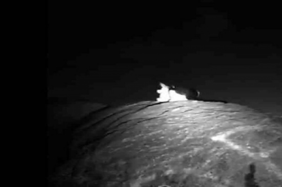 فيديو: تحدى ... فشاهدوا ماذا وجدوا؟