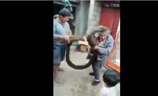 بالفيديو: عجوز صينية تثير الدهشة بطول شعرها