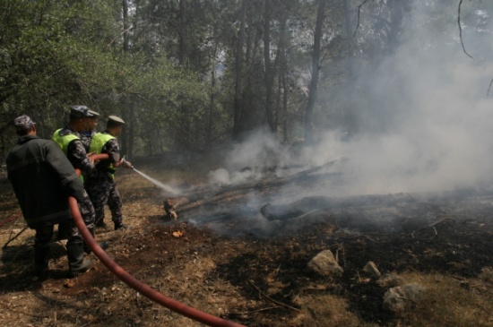 بالصور: الدفاع المدني يؤكد على إتباع سبل الوقاية للحد من حرائق الأشجار