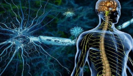 مرض فتاك لا علاج له حتى الآن.. ما هو؟