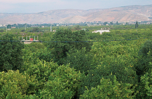 مؤسسة انقاذ الطفل تنفذ برامج تدريبية لمكافحة الفقر في الاغوار الشمالية