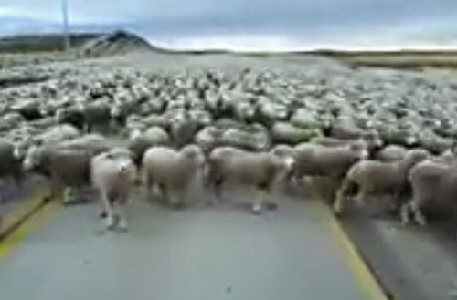 تسونامي من نوع أخر