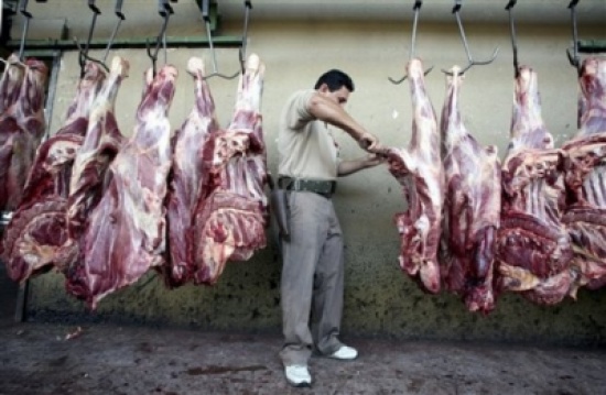 بحث الاوضاع العامة للمسالخ في المملكة