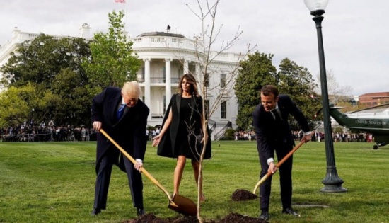 بالصور:ما سر اختفاء الشجرة التي زرعها ماكرون وترامب في البيت الأبيض؟
