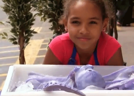 المخلوق الغريب