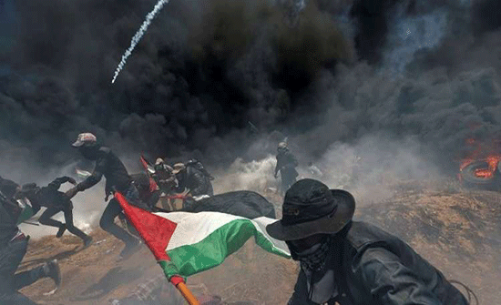 وزير بريطاني يدعو إلى تحقيق مستقل في مقتل عشرات الفلسطينيين شرقي غزة وزير بريطاني يدعو إلى تحقيق مستقل في مقتل عشرات الفلسطينيين شرقي غزة