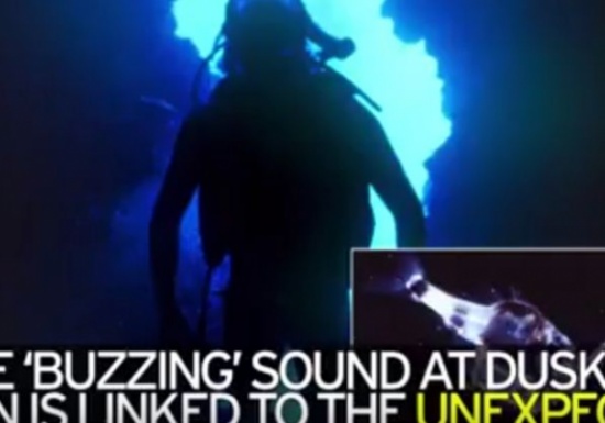 فيديو: تفسير ظاهرة الصوت الغريب بأعماق المحيط الهادي