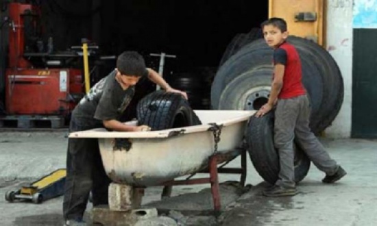 69 ألف طفل عامل بينهم 44 ألفا يعملون بأعمال خطرة