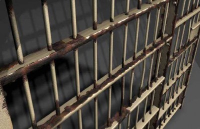 اعتقال أمريكية احتفظت بـ 65 حيوانا نافقا في منزلها