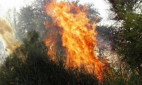 حريق يأتي على 50 دونما في مادبا حريق يأتي على 50 دونما في مادبا