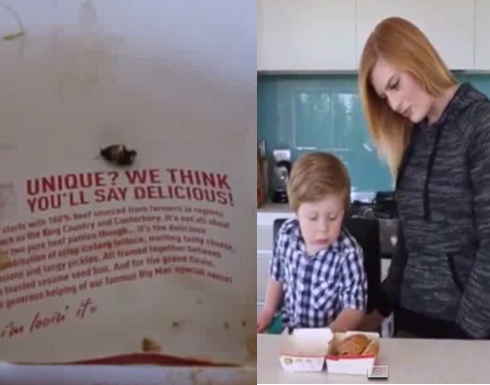 صرصار صغير داخل وجبة طعام