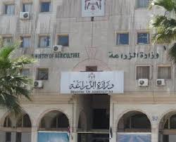 "الزراعة" تطلق برنامجا ارشاديا لمزارعي النخيل في وادي الاردن "الزراعة" تطلق برنامجا ارشاديا لمزارعي النخيل في وادي الاردن