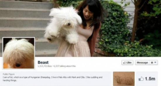 10% في فيسبوك ليسوا بشرا