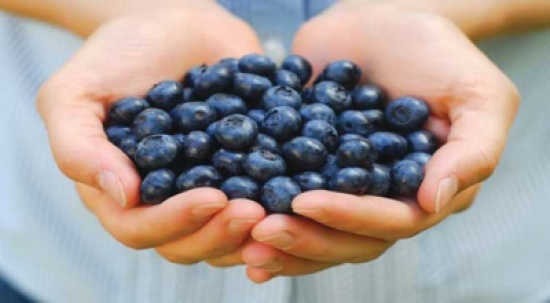 التوت البري يخفض ضغط الدم ويحافظ على العظام التوت البري يخفض ضغط الدم ويحافظ على العظام