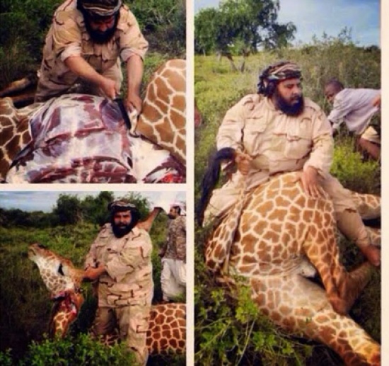 يذبح زرافة على الطريقة الإسلامية ويستعد لأكلها!