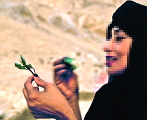 يطلق زوجته ويتزوج شقيقتها بسبب"القات" ! يطلق زوجته ويتزوج شقيقتها بسبب"القات" !