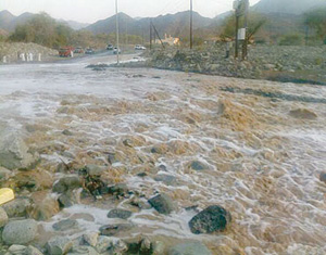 المطر في الكرك يكشف عيوب بنية تحتية هشة  
