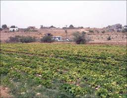 الصافي: إطلاق مبادرة "رسم البسمة" للأطفال