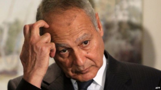 أبو الغيط: دول إقليمية تتدخل في شؤون العرب