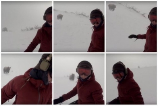 شاهد.. فتاة تتزلج على الجليد دون أن تنتبه لـ دُب يلاحقها