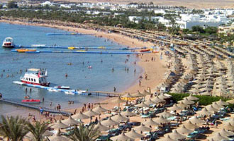 موسكو ترسل دبلوماسيين لمساعدة الروس في مصر  