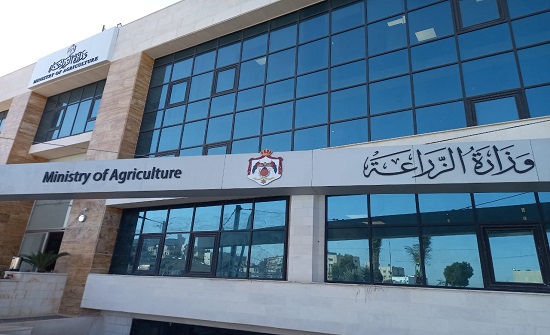 1175 ديناراً قيمة إيجار مبنى وزارة الزراعة القديم يومياً 1175 ديناراً قيمة إيجار مبنى وزارة الزراعة القديم يومياً