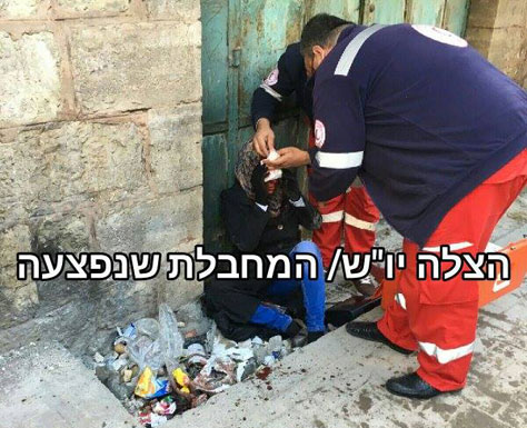 اصابة فتاة برصاص الاحتلال في الخليل .. ومستوطن يطعن سائحا في القدس اصابة فتاة برصاص الاحتلال في الخليل .. ومستوطن يطعن سائحا في القدس