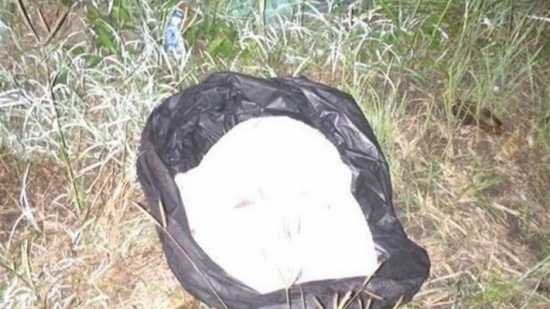 بالصور – العثور على طفل حديث الولادة مع الحبل السري...في كيس!