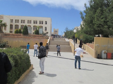حراكات شعبية في الجنوب تحمل الحكومة مسؤولية مشاجرات "مؤتة" حراكات شعبية في الجنوب تحمل الحكومة مسؤولية مشاجرات "مؤتة"