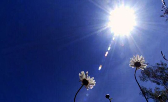 الأحد : أجواء صيفية معتدلة نهارا ولطيفة رطبة ليلا