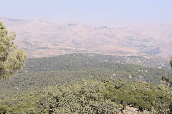 جمعية دبين للتنمية البيئية تنظم حملة توعوية