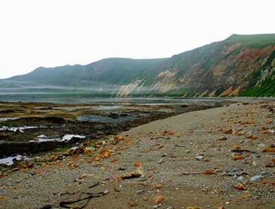 اليابان تراقب تحركات الجيش الروسي قرب جزر الكوريل المتنازع عليها