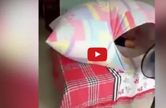 لقطات مضحكة لطفل يبتكر طريقة غريبة للهروب من الطقس الحار!!