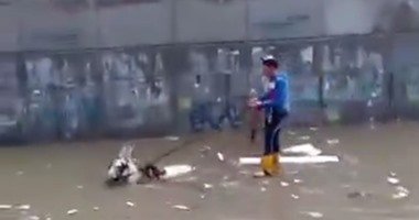شاهد.. حمار يسبح لينقذ صاحبه من مياه الأمطار