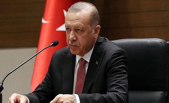 أردوغان: اتفقت مع بايدن على تكثيف التعاون بعدة قضايا