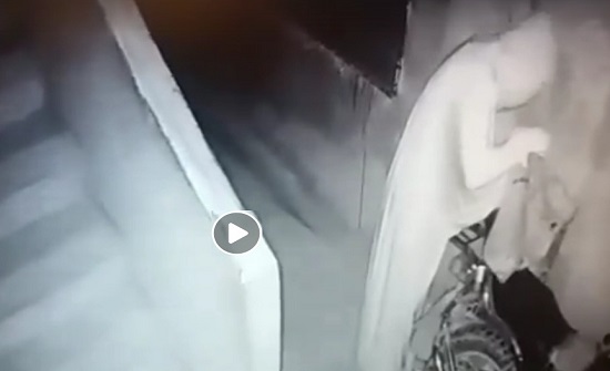 القبض على السارق "المتخفي" بالشونة الشمالية​ (شاهد)