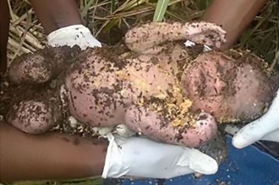 خَنَقَهُ بمساعدة خطيبته ونهشته حيوانات ضالة .. شاب مصريّ يقتل رضيعاً أنجبه من زوجة أبيه!