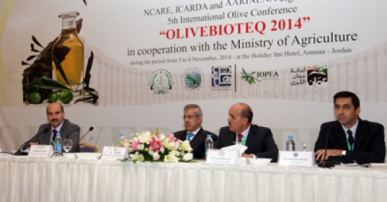 انطلاق فعاليات المؤتمر الدولي الخامس للزيتون انطلاق فعاليات المؤتمر الدولي الخامس للزيتون