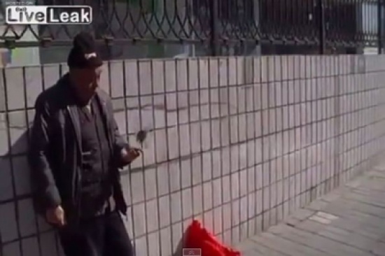 شاهد.. طائر يحترف التسول ويجمع العملات لمالكه