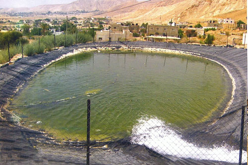 الكرك : ارتفاع حالات الوفاة غرقا في البرك الزراعية يتطلب حلا الكرك : ارتفاع حالات الوفاة غرقا في البرك الزراعية يتطلب حلا