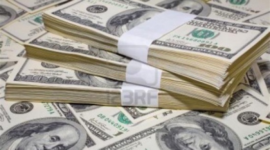 العثور على 200 ألف دولار على غصن شجرة العثور على 200 ألف دولار على غصن شجرة
