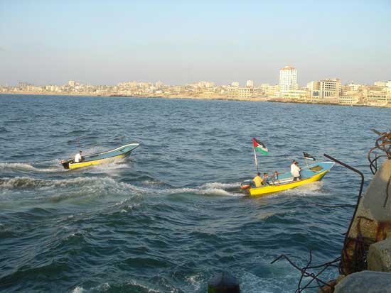 استشهاد ثلاثة فلسطينيين بنيران الجيش الاسرائيلي شمال غزة