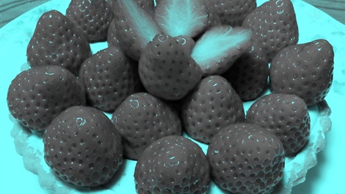 حبات فراولة باللون الرمادي تثير ضجة عبر تويتر