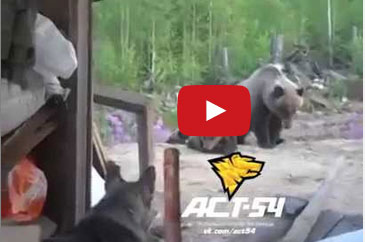 عامل يصور مقتله !