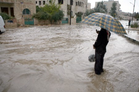 ارتفاع معدل تساقط الامطار في اربد