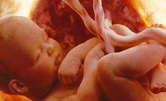 رحم اصطناعي لتخفيض خطر وفاة المواليد الخدج!