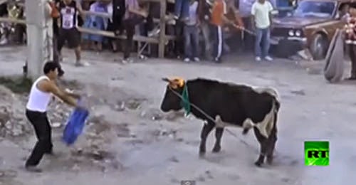 فيديو: ثور هائج يجرح 10 أشخاص بعد فراره من ساحة مصارعة فيديو: ثور هائج يجرح 10 أشخاص بعد فراره من ساحة مصارعة