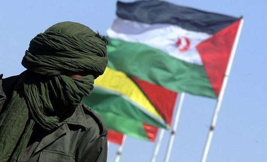 الأمم المتحدة تدعو الأطراف المعنية بقضية الصحراء الغربية للتفاوض الأمم المتحدة تدعو الأطراف المعنية بقضية الصحراء الغربية للتفاوض