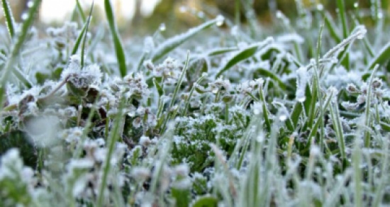 386 ر1 مليون دينار تعويضا للمزارعين