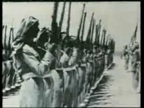 تعريب قيادة الجيش العربي أعاد للأمة مجدها ووضع الأردن في ذروة التوهج والصدارة